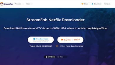Review of StreamFab Netflix Downloader