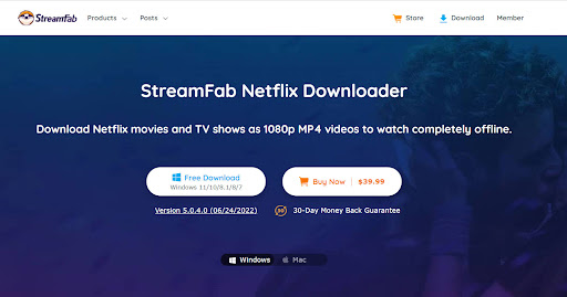 Review of StreamFab Netflix Downloader